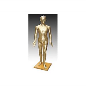 Acupuncture Bronze man model 178cm